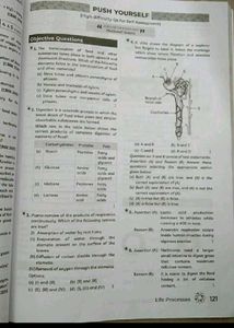 Edu Card CBSE Class 10 Science Question Bank Of Ed