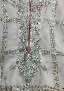 Elegant Light Green Salwar Kameez