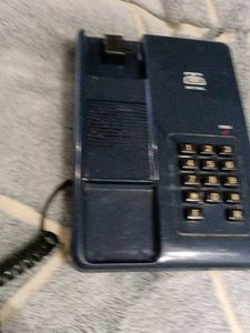 Landline telephone