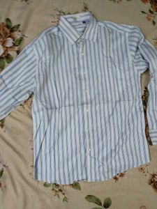 Striped Shirt