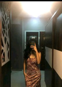 Animal Print Slip Dress