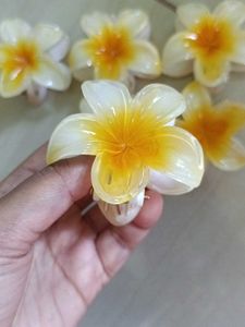 Flower Hair Clips (Set of 6)