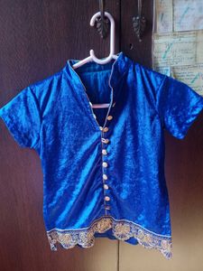 Gorgeous Blue Pure Velvet Desi Top