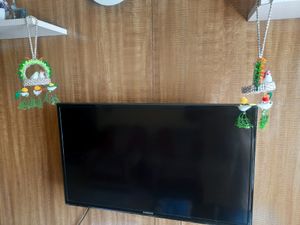 2 Hanging BIRD NEST