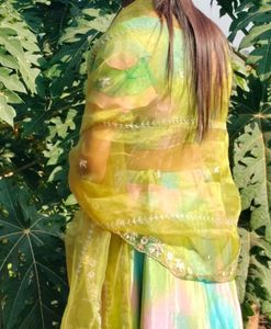 Green Colour Choli
