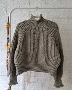 H&amp;M Chunky Turtleneck Knit
