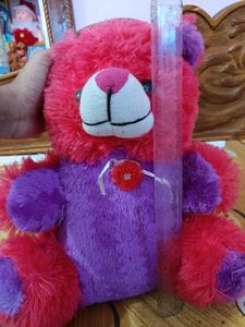 Adorable Two-Tone Plush Teddy Bear