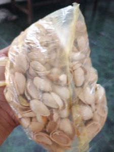 Pista shells for creative craft works