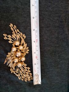 Golden Hair Accessory