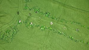 Green Embellished Cardigan