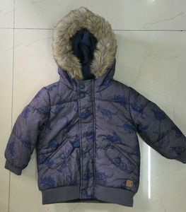 Boys Dinosaur Padded Jacket