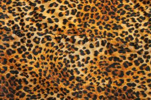 Men Chetah Print Shirt