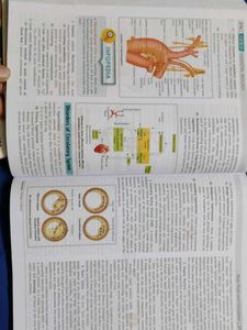 Biology Essential Class XI Entrance, ENGLISH VERSI