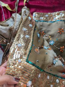 Elegant Embellished Saree