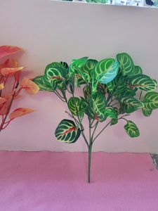 Leaf Set
