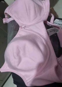 Clovia T-shirt Light Padded Bra 7847867130