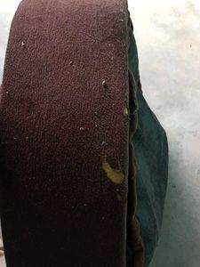 Dog&#39;s Bed