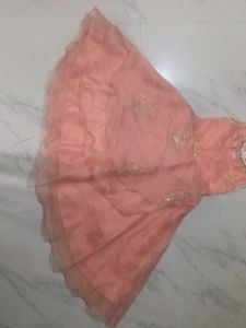 Peach Colored Dress with Embroidery