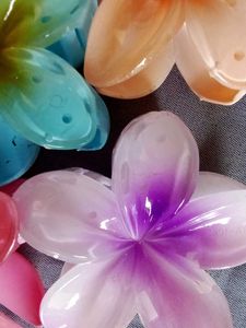 Colorful Plumeria Hair Clips Per Pc Price