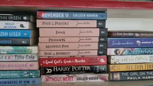 24 fiction novels
