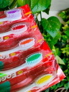 Set Of 5 Colourful 🪥 Toothbrush