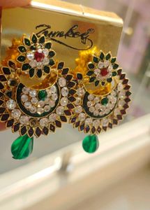 Elegant Stone Earrings