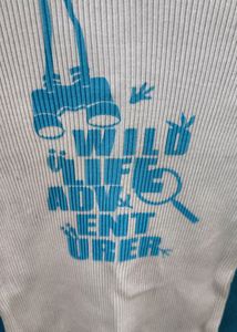 Combo Of 3 Tshirt Kids