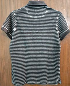 Turtle Polo T-Shirt