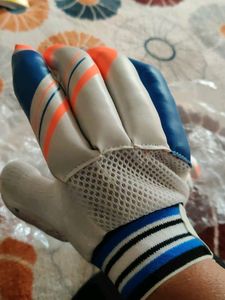 Cricket Hand Gloves