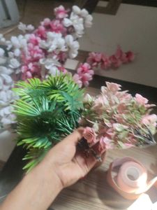 Donation For Coins