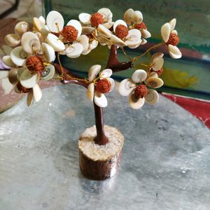 Laxmi Vastu Chakra Rudraksh Tree Money &amp; H