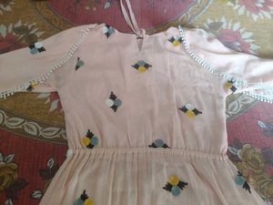 Pink Floral Embroidered Dress