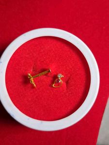 beautiful parrot 🦜 design studs