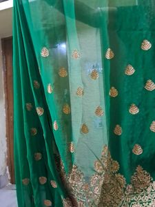 Green-Red Party Saree with Blouse (36)