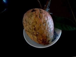 Wild Custard Apple/Athakka Seeds