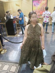 Olive Animal Print Dress