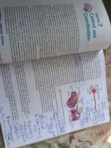 Ncert Science: Class 10th (X)