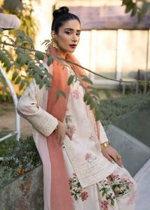New Stayle Beautiful Pakistani Dress Inpoted Dres