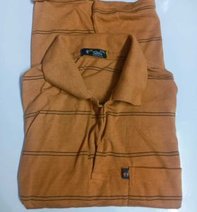 Khaki Brown Striped Casual Shirt for Men | Free Si