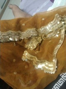 Fancy Party Wear Dupatta