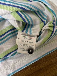 Peter England Multi-colour Striped T-Shirt