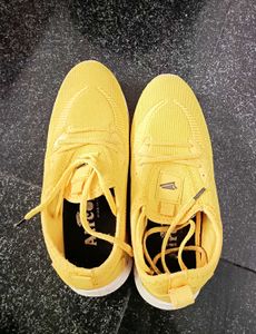 Shoe