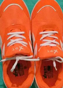 Sports Shoes for Players