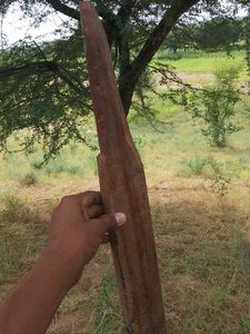 Cricket Bat