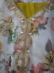 Beautiful Organza Suit Set