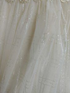 Elegant  CreamTulle Dress