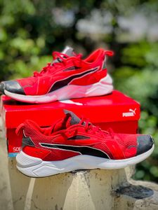 Puma Softfoam +