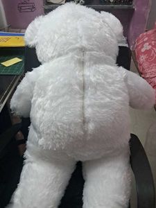Cute White Teddy Bear