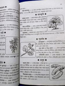 Ayurvedic Book (Bengali)