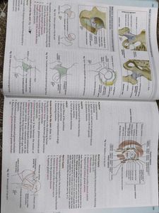 Human Anatomy Vol. 2 with free workbook